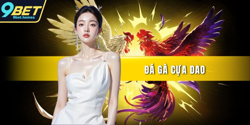 Đá gà cứa dao