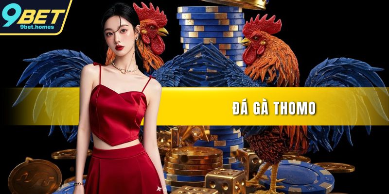 Đá gà Thomo