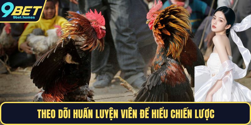 Theo dõi huấn luyện viên để hiểu chiến lược
